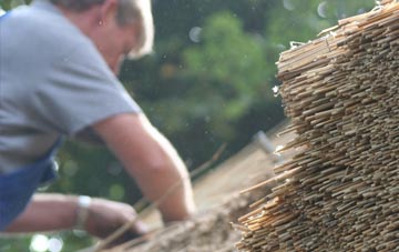 professional Pontiago thatchers