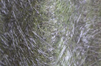 Pontiago fibreglass roof work